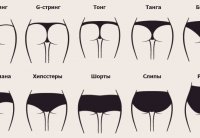 Виды женских трусов  - как выбрать правильный фасон по фигуре