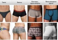 Какими бывают мужские трусы - основные виды