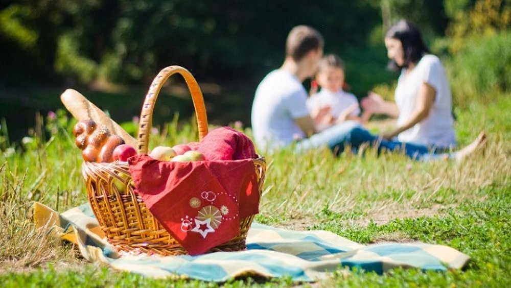 Майские праздники на природе: полезные советы