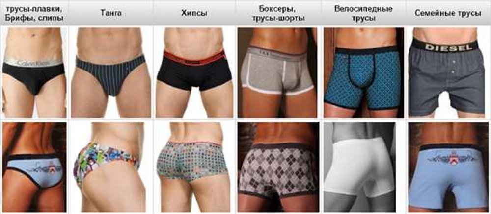 Какими бывают мужские трусы - основные виды