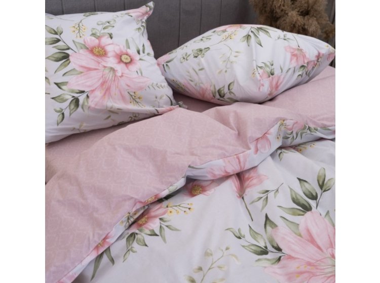 Постельное белье  Isleep. Ранфорс 24255