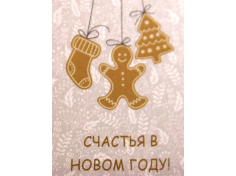 Набор из 2-х кухонных полотенец HOBBY. New Year V7