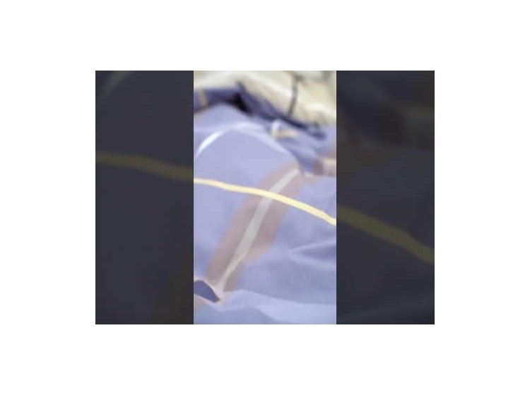 24348 - Комплект постільної білизни з Ранфорсу (Бязь)