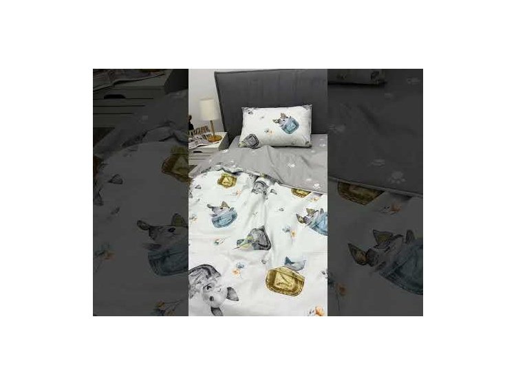 24291 - Комплект постільної білизни з Ранфорсу (Бязь)