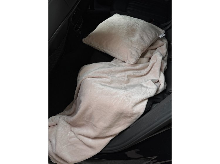 Набор для путешествий плед и подушка Ecotton. Travel FL-12-1206 Pink