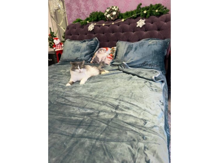 Велюровое постельное белье Koloco. Monica морская волна