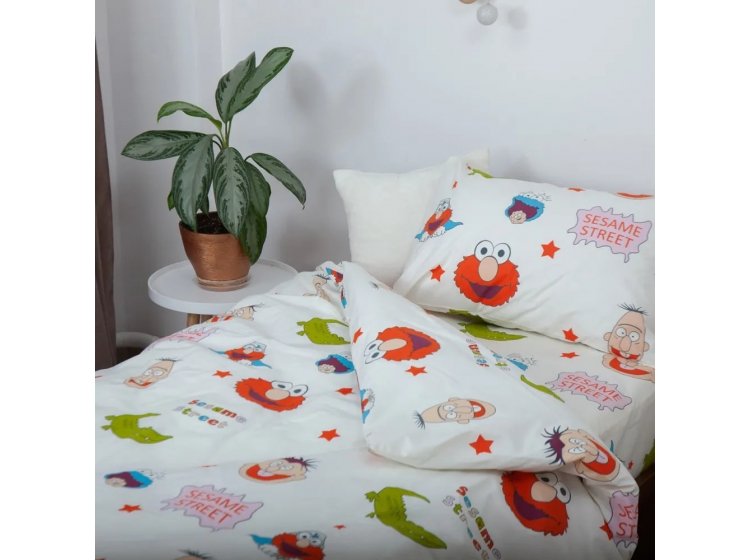 Подростковое постельное белье ТЕП. Soft Dreams Сезам Стрит