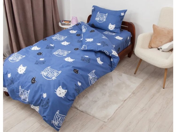 Подростковое постельное белье ТЕП. Soft Dreams Котята синего цвета