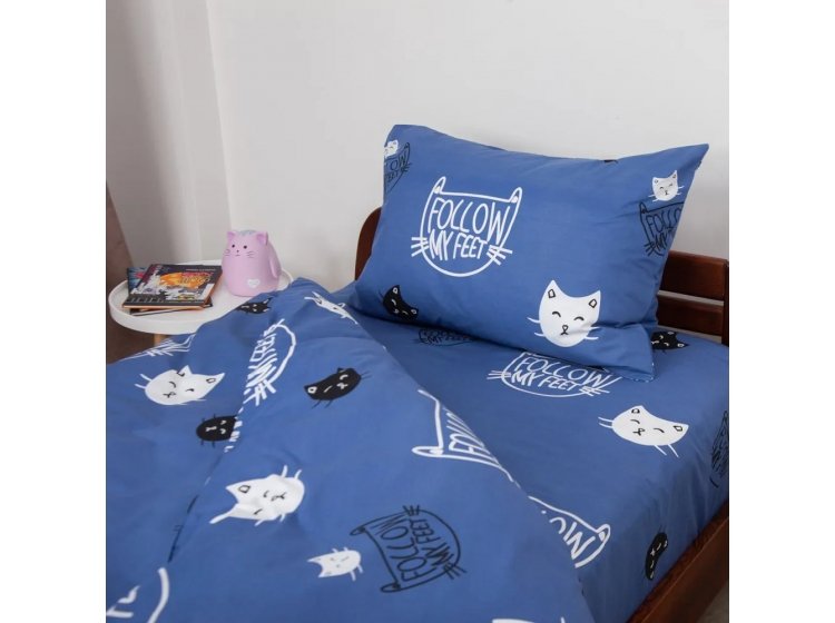 Подростковое постельное белье ТЕП. Soft Dreams Котята синего цвета