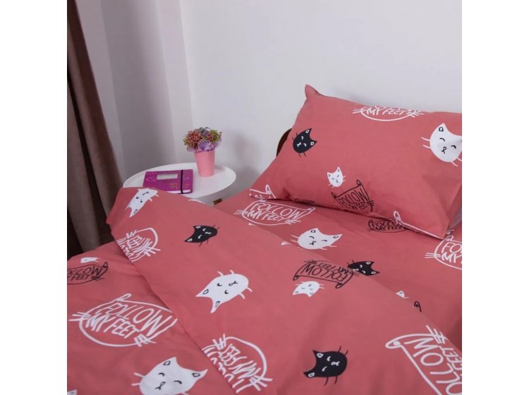 Подростковое постельное белье ТЕП. Soft Dreams Котята коричневого цвета