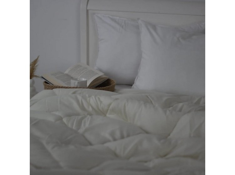 Зимнее одеяло ТЕП. Alaska молочного цвета 450