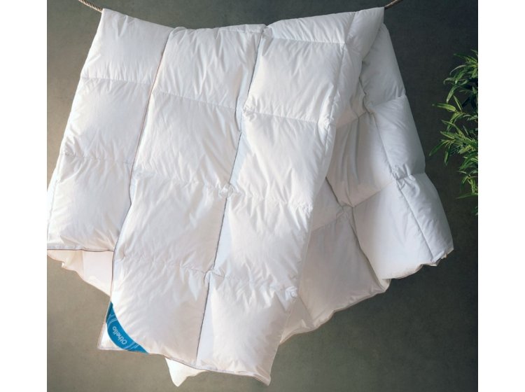 Одеяло пуховое Othello. Downa 70 Light демисезонное