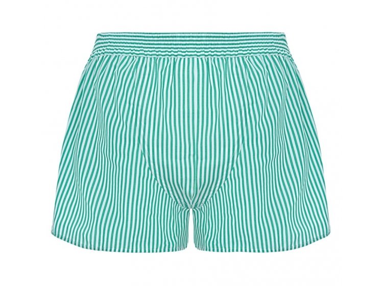 Боксеры мужские широкие из хлопка German Volf. 2316 белые в зеленую полоску