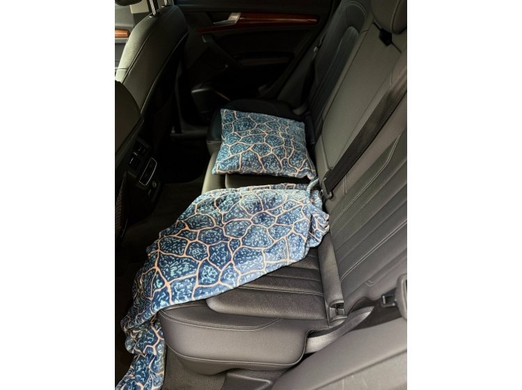 Набор для путешествий плед и подушка Ecotton. Travel FL-087