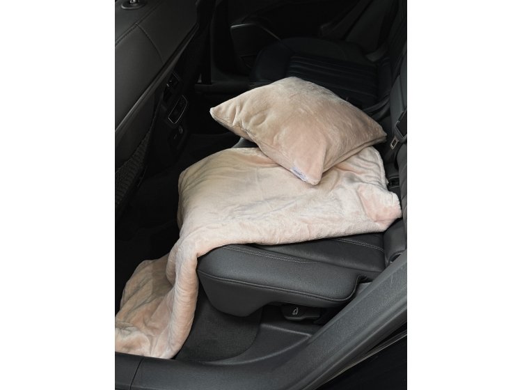 Набор для путешествий плед и подушка Ecotton. Travel FL-12-1206 Pink