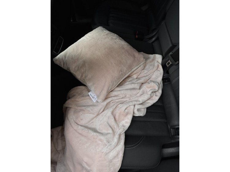 Набор для путешествий плед и подушка Ecotton. Travel FL-12-1206 Pink