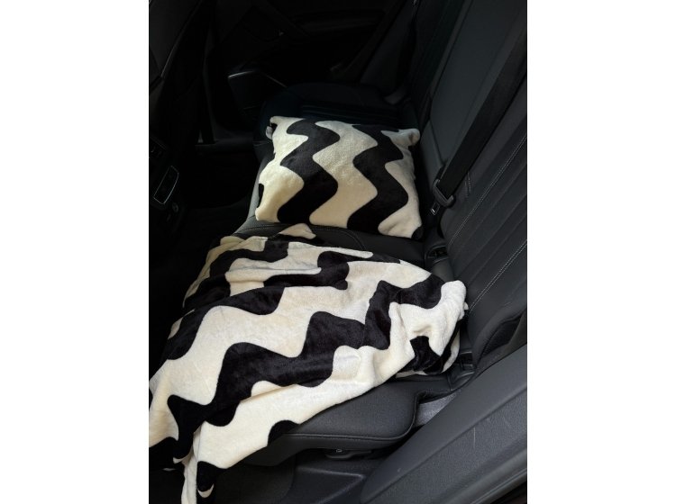 Набор для путешествий плед и подушка Ecotton. Travel FL-3417 Зиг-заг